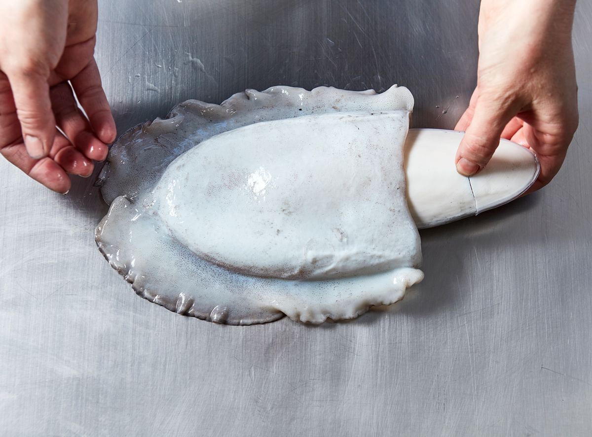 Comment identifier et cuisiner la seiche ? Guide complet. | Régal