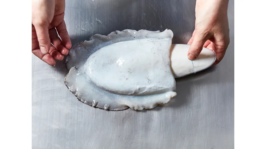 Comment identifier et cuisiner la seiche ? Guide complet. | Régal