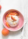 Blanc-manger vegan abricots-amandes