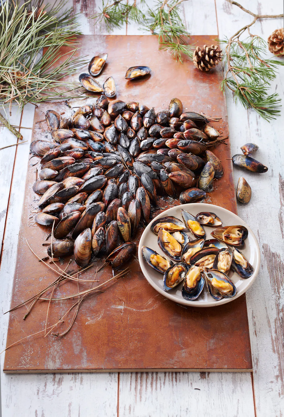 clade-de-moules-sp-cialit-du-poitou-charentes-30-min-r-gal