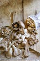 Comment cuisiner les champignons ?