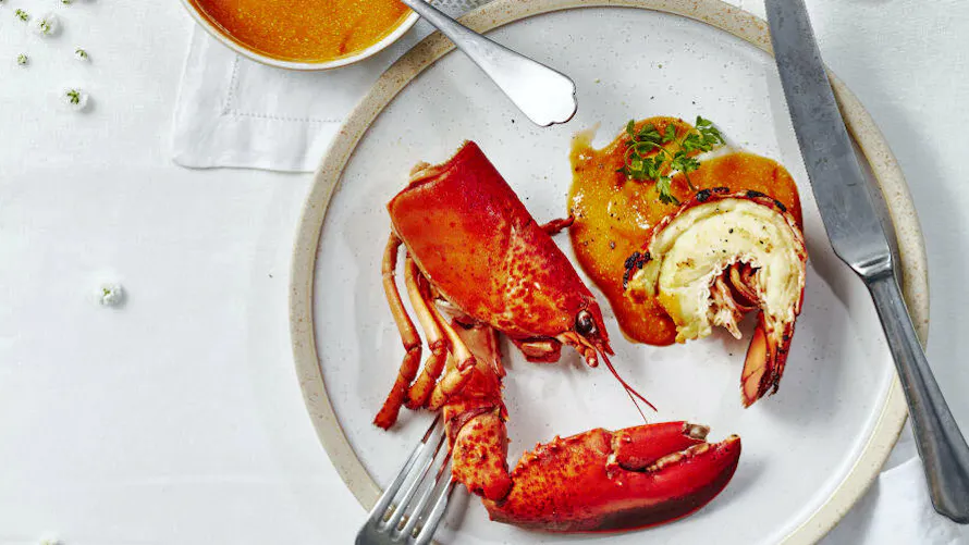 Snuggable Homard Homard : pourquoi éviter les gros crustacés pour un Noël vraiment ...