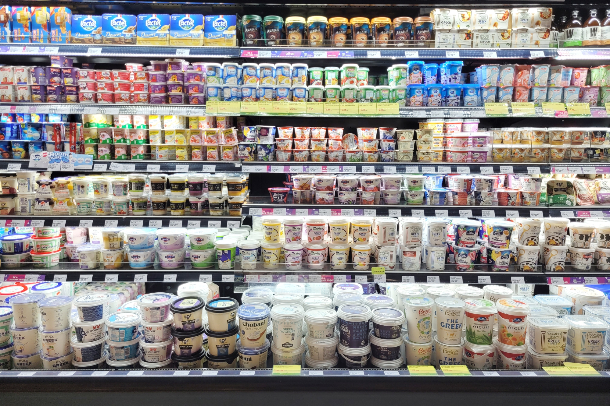 Rayon de supermarché rempli de différents pots de yaourt et desserts laitiers.